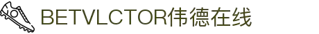 伟德国际(bevictor)官方网站-源自英国始于1946